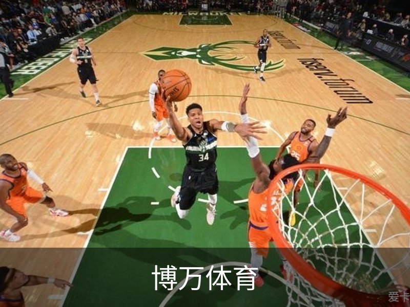 博万体育介绍